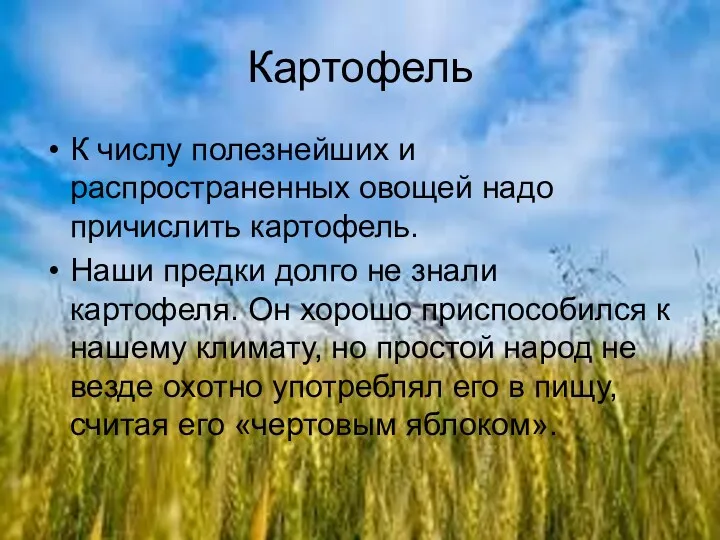 Картофель К числу полезнейших и распространенных овощей надо причислить картофель.