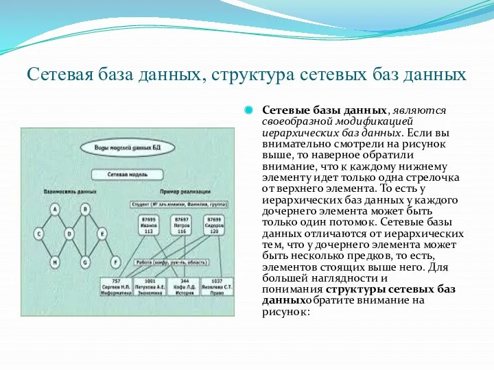 Сетевая база данных, структура сетевых баз данных Сетевые базы данных,