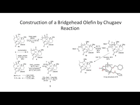 Construction of a Bridgehead Olefin by Chugaev Reaction 9