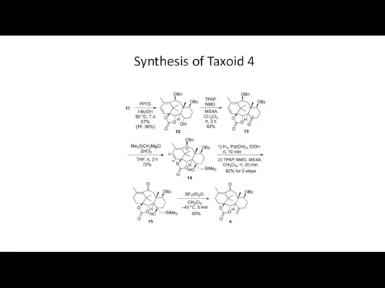 Synthesis of Taxoid 4