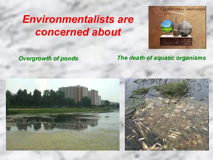 Environmentalists are concerned about Overgrowth of ponds The death of aquatic organisms