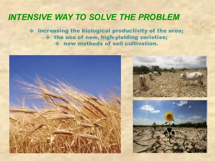 INTENSIVE WAY TO SOLVE THE PROBLEM increasing the biological productivity