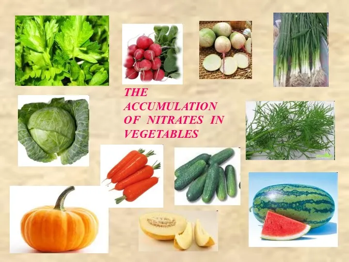 THE ACCUMULATION OF NITRATES IN VEGETABLES