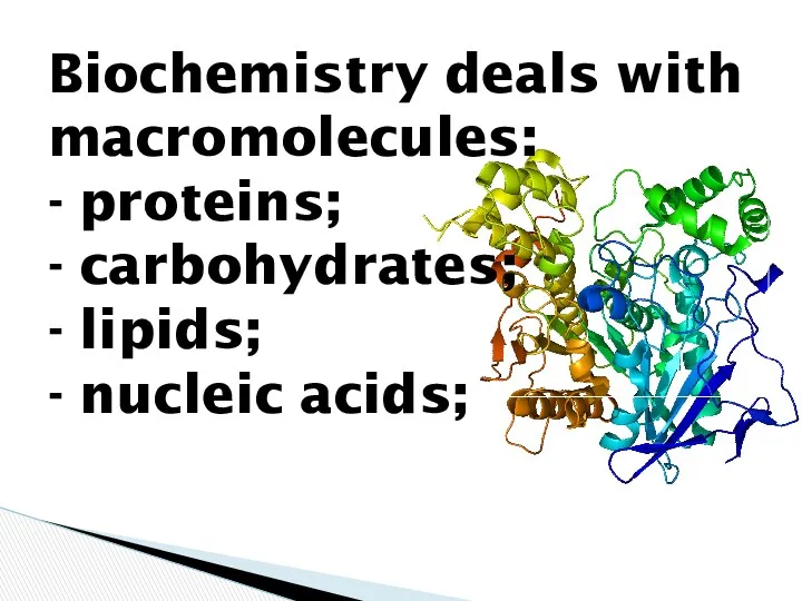Biochemistry deals with macromolecules: - proteins; - carbohydrates; - lipids; - nucleic acids;