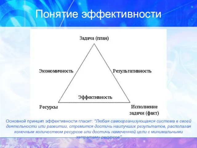 Понятие эффективности Основной принцип эффективности гласит: "Любая самоорганизующаяся система в