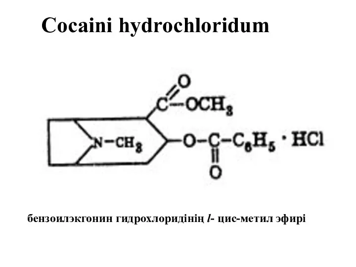Cocaini hydrochloridum бензоилэкгонин гидрохлоридінің l- цис-метил эфирі