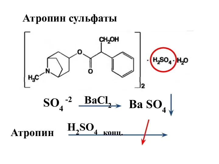 SO4 -2 BaCl2 Ba SO4 Атропин сульфаты Атропин H2SO4 конц.