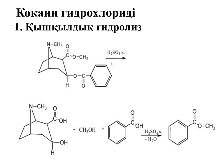 Кокаин гидрохлориді 1. Қышқылдық гидролиз