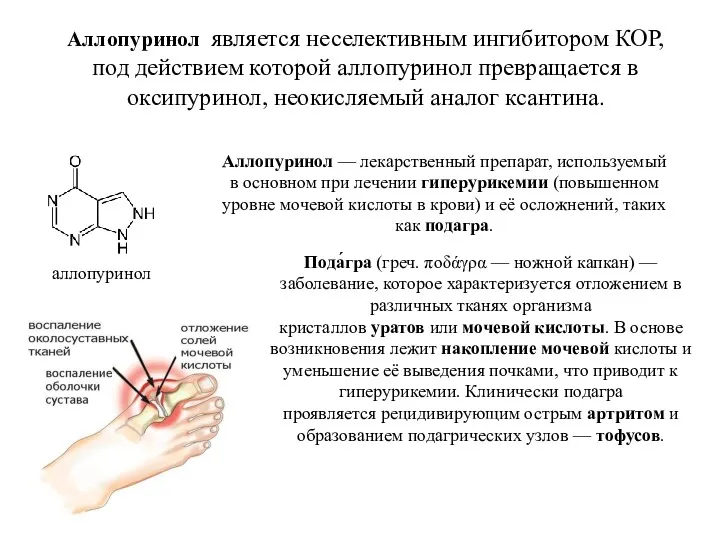 Аллопуринол является неселективным ингибитором КОР, под действием которой аллопуринол превращается