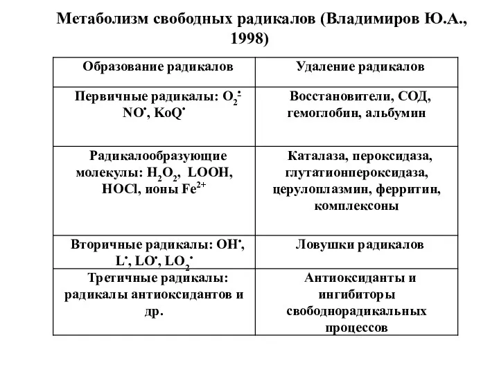 Метаболизм свободных радикалов (Владимиров Ю.А., 1998)