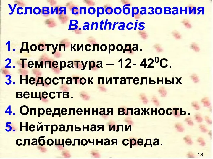 Условия спорообразования B.anthracis Доступ кислорода. Tемпература – 12- 420С. Недостаток