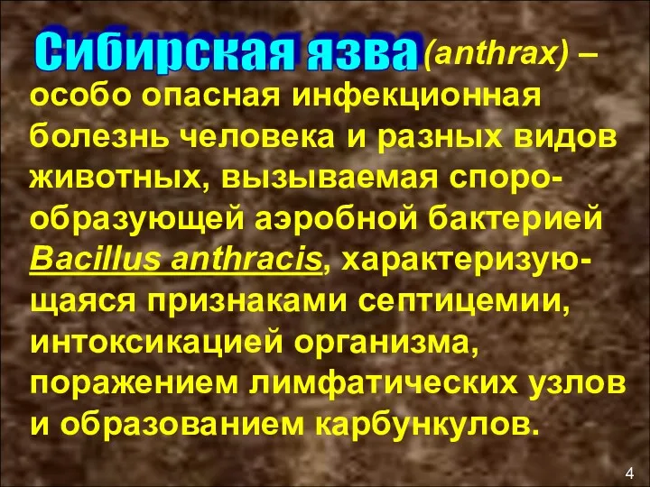 (anthrax) – особо опасная инфекционная болезнь человека и разных видов