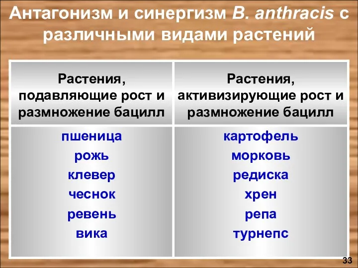 Антагонизм и синергизм B. anthracis с различными видами растений 33