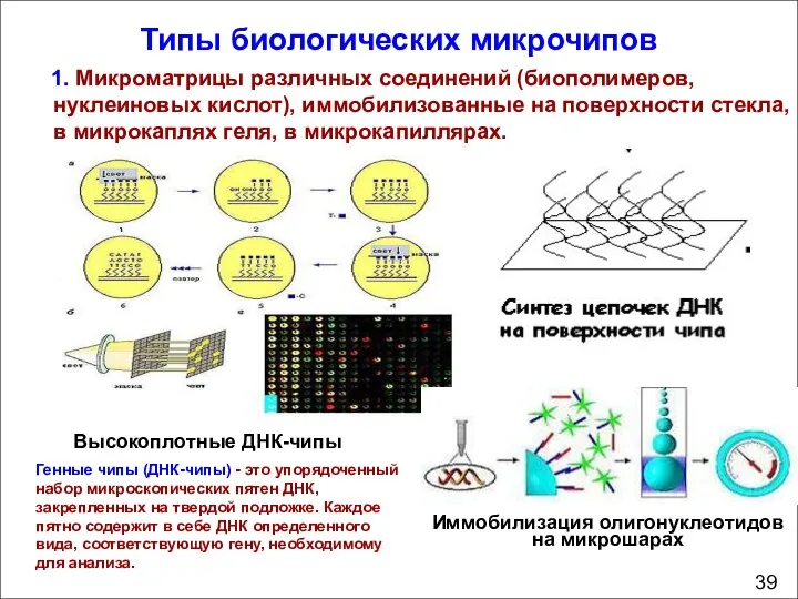 1. Микроматрицы различных соединений (биополимеров, нуклеиновых кислот), иммобилизованные на поверхности