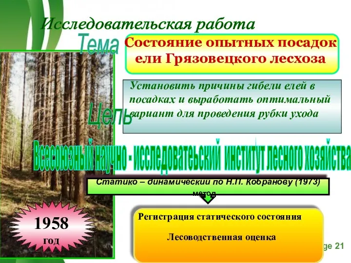 Исследовательская работа Тема Цель Всесоюзный научно - исследоватеьский институт лесного хозяйства