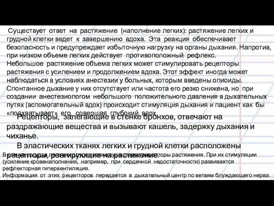 Существует ответ на растяжение (наполнение легких): растяжение легких и грудной клетки ведет к