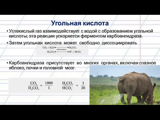 Угольная кислота Углекислый газ взаимодействует с водой с образованием угольной