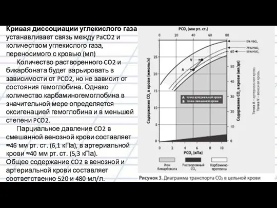 Кривая диссоциации углекислого газа устанавливает связь между PaCO2 и количеством углекислого газа, переносимого