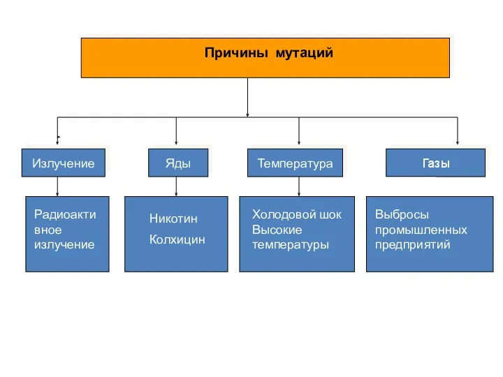 Причины мутаций Излучение Яды Температура Газы Радиоактивное излучение Никотин Колхицин