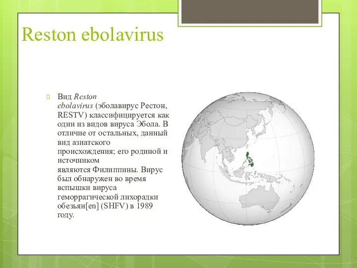 Reston ebolavirus Вид Reston ebolavirus (эболавирус Рестон, RESTV) классифицируется как