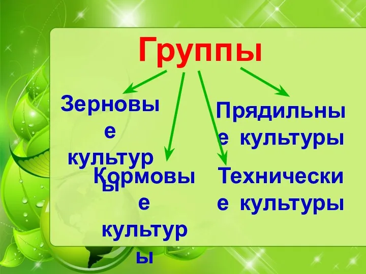 Группы Зерновые культуры Кормовые культуры Прядильные культуры Технические культуры