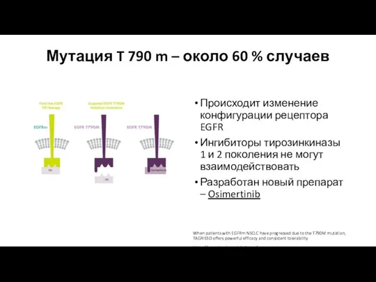 Мутация T 790 m – около 60 % случаев Происходит