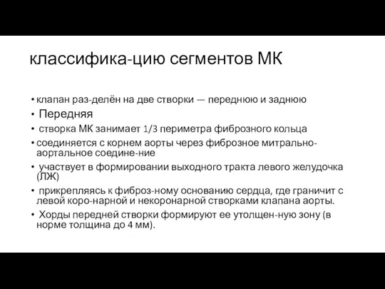 классифика-цию сегментов МК клапан раз-делён на две створки — переднюю