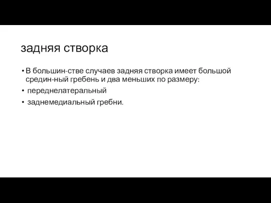 задняя створка В большин-стве случаев задняя створка имеет большой средин-ный