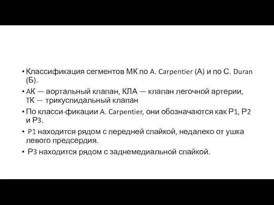 Классификация сегментов МК по A. Carpentier (А) и по С.