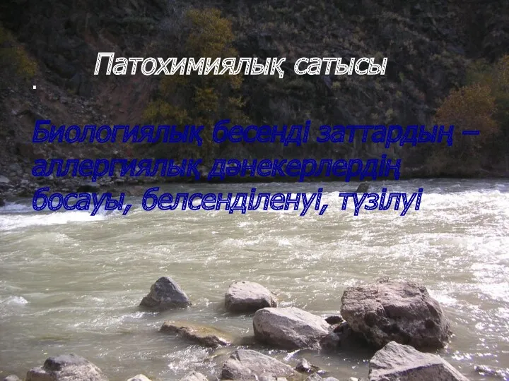 Патохимиялық сатысы Биологиялық бесенді заттардың – аллергиялық дәнекерлердің босауы, белсенділенуі, түзілуі .