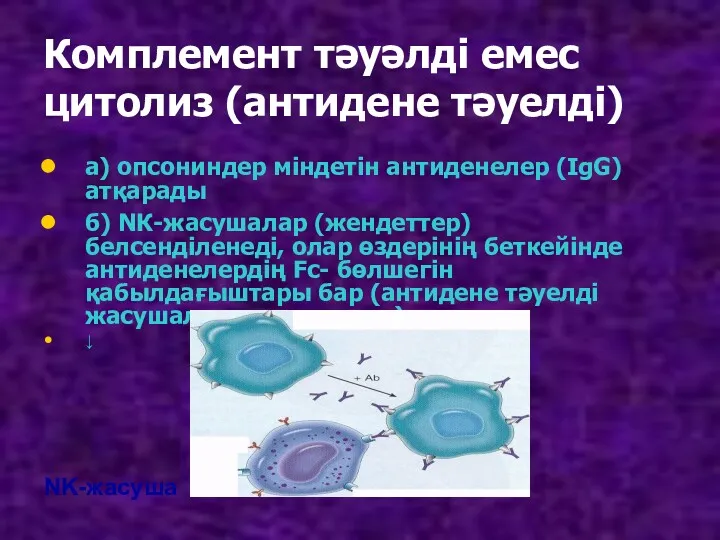 Комплемент тәуәлді емес цитолиз (антидене тәуелді) а) опсониндер міндетін антиденелер