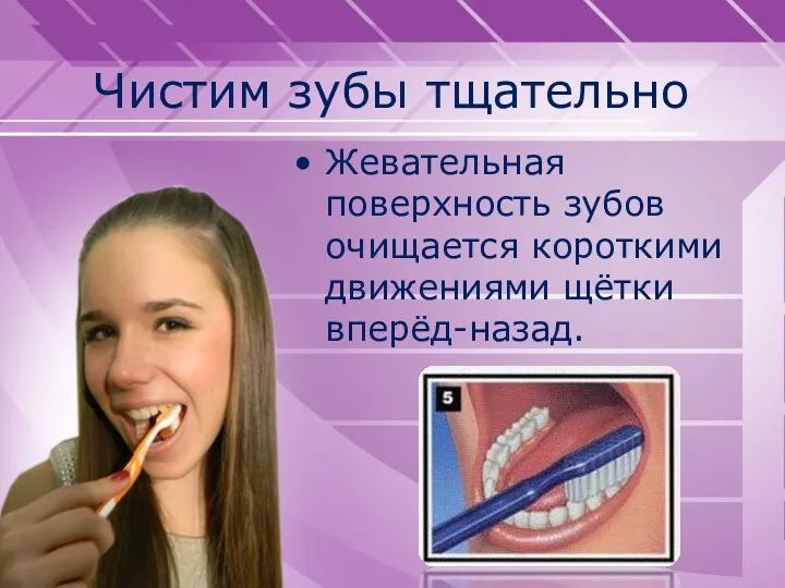 Чистим зубы тщательно Жевательная поверхность зубов очищается короткими движениями щётки вперёд-назад.