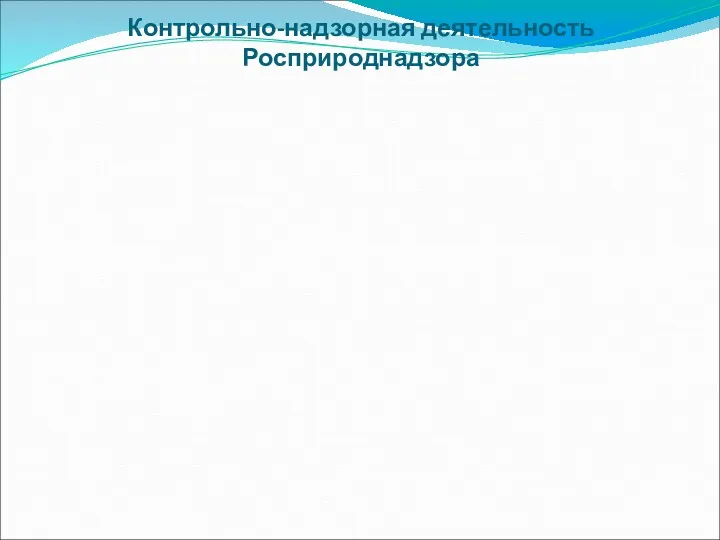 Контрольно-надзорная деятельность Росприроднадзора