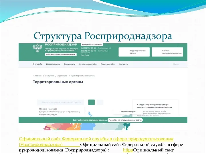 Структура Росприроднадзора Официальный сайт Федеральной службы в сфере природопользования (Росприроднадзора)