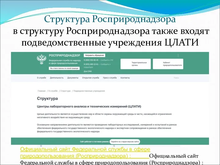 Структура Росприроднадзора в структуру Росприроднадзора также входят подведомственные учреждения ЦЛАТИ