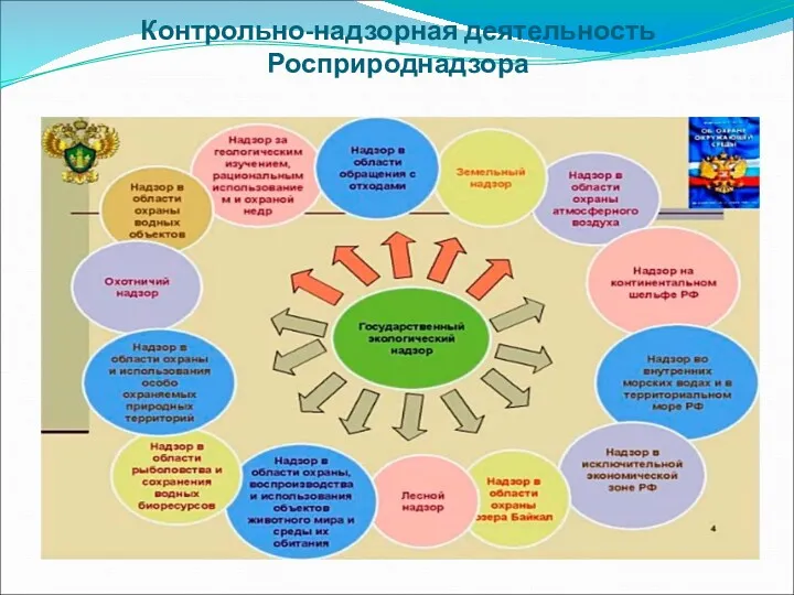 Контрольно-надзорная деятельность Росприроднадзора