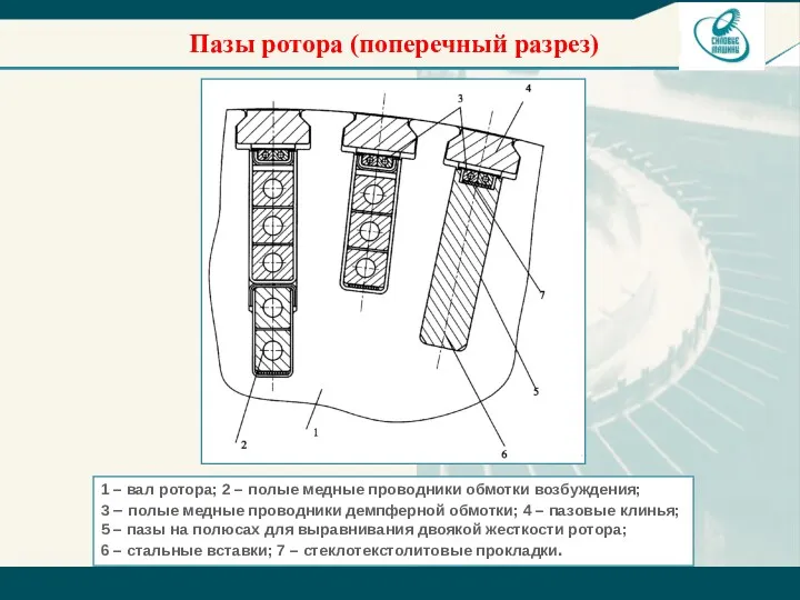 Пазы ротора (поперечный разрез) 1 – вал ротора; 2 –