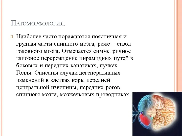 Патоморфология. Наиболее часто поражаются поясничная и грудная части спинного мозга,