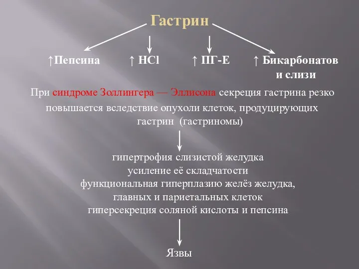 Гастрин При синдроме Золлингера — Эллисона секреция гастрина резко повышается