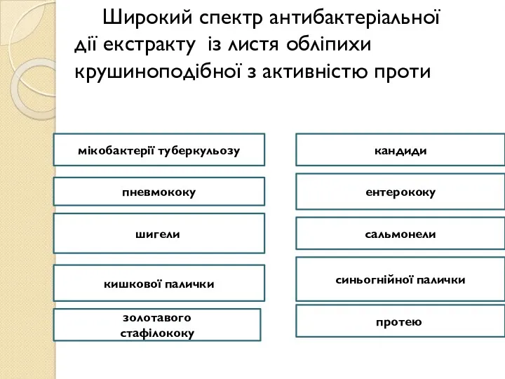 Широкий спектр антибактеріальної дії екстракту із листя обліпихи крушиноподібної з