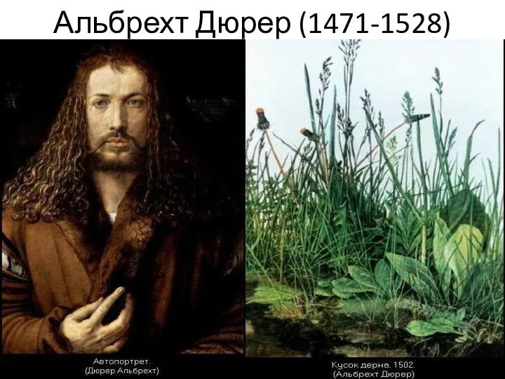 Альбрехт Дюрер (1471-1528)