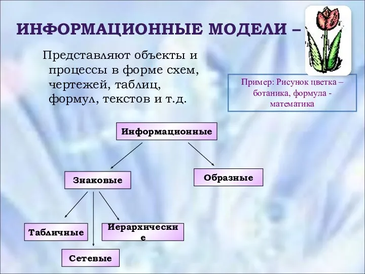 ИНФОРМАЦИОННЫЕ МОДЕЛИ – Представляют объекты и процессы в форме схем,