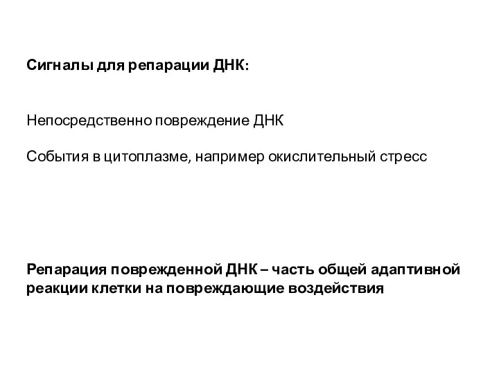 Сигналы для репарации ДНК: Непосредственно повреждение ДНК События в цитоплазме,