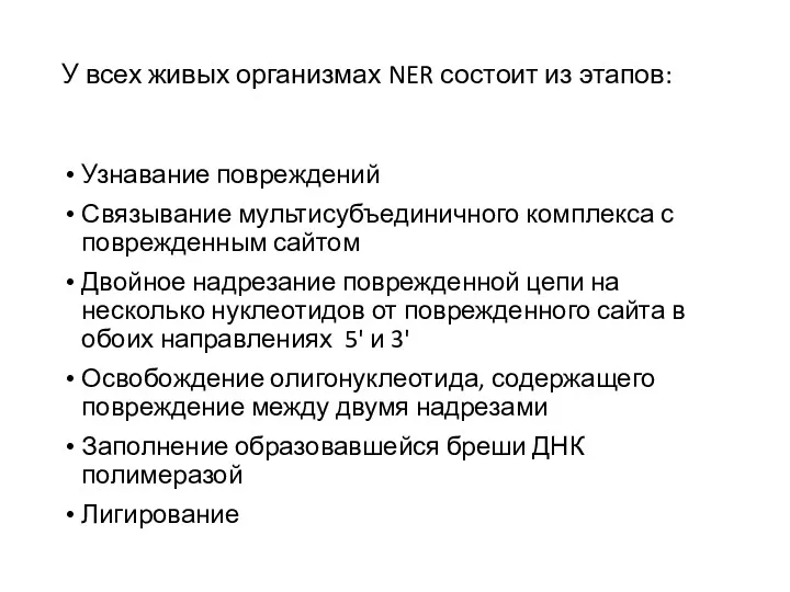 У всех живых организмах NER состоит из этапов: Узнавание повреждений