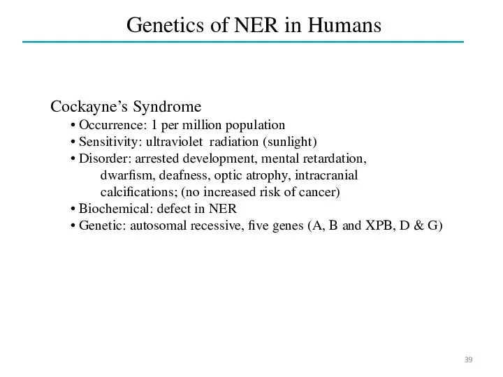 Genetics of NER in Humans Cockayne’s Syndrome Occurrence: 1 per