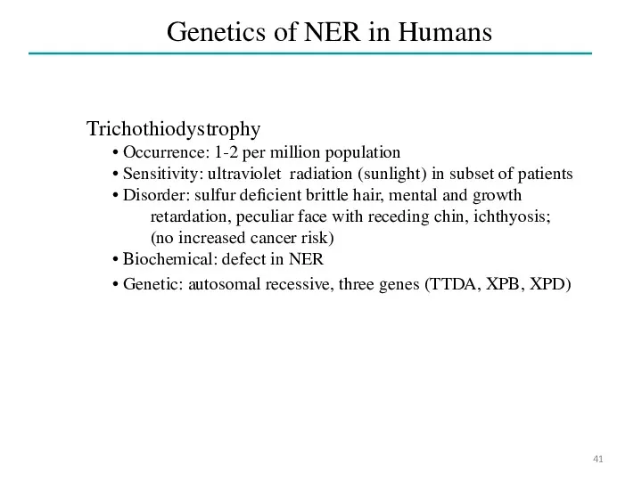 Genetics of NER in Humans Trichothiodystrophy Occurrence: 1-2 per million