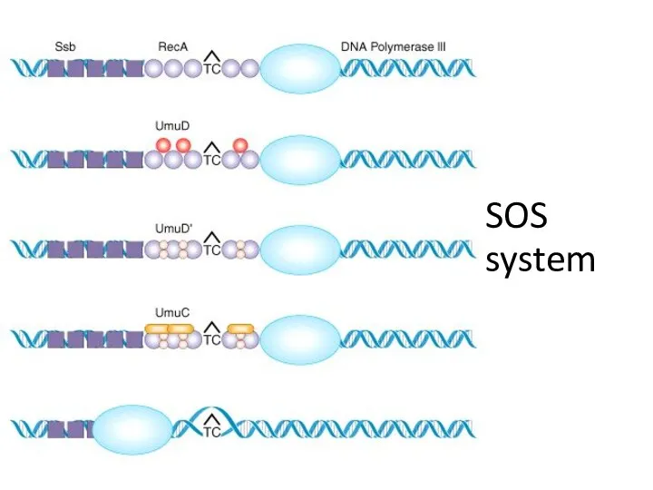 SOS system