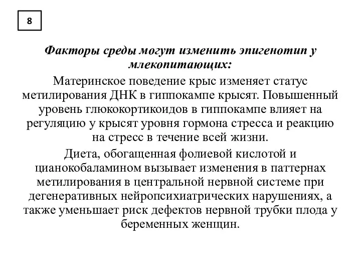 8 Факторы среды могут изменить эпигенотип у млекопитающих: Материнское поведение