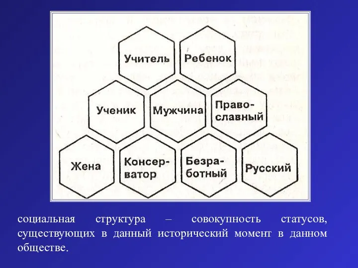 социальная структура – совокупность статусов, существующих в данный исторический момент в данном обществе.