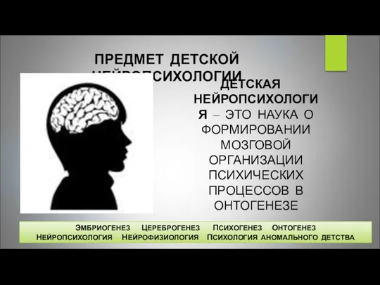 ПРЕДМЕТ ДЕТСКОЙ НЕЙРОПСИХОЛОГИИ ДЕТСКАЯ НЕЙРОПСИХОЛОГИЯ ‒ ЭТО НАУКА О ФОРМИРОВАНИИ МОЗГОВОЙ ОРГАНИЗАЦИИ ПСИХИЧЕСКИХ